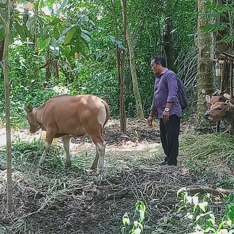 Dokumentasi Kerja BUMDes 3